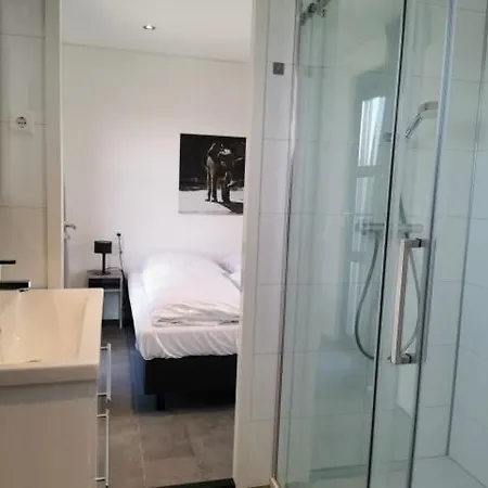 Enkhuizer Aiwenore Dritte Reihe Mit Zaun Haus Nr 246 * Enkhuizen