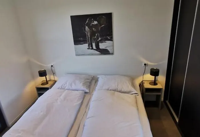 Enkhuizer Aiwenore Dritte Reihe Mit Zaun Haus Nr 246 度假居 *