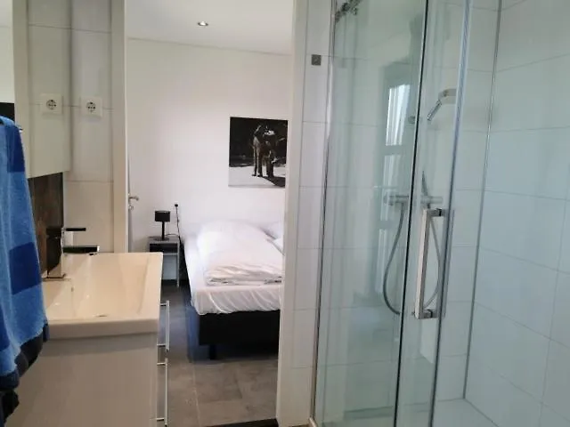 Enkhuizer Aiwenore Dritte Reihe Mit Zaun Haus Nr 246 * 恩克赫伊曾